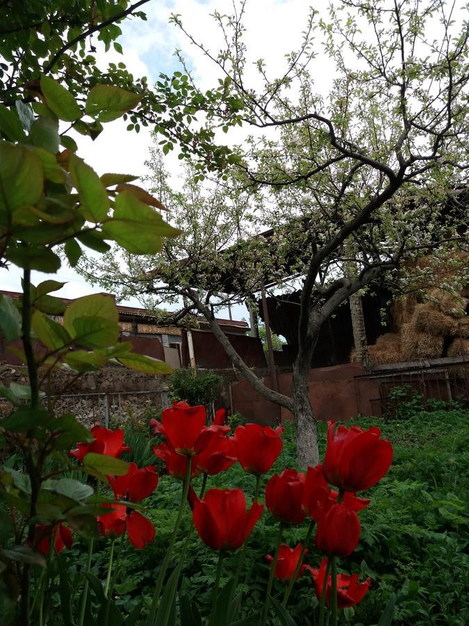 Aida Bed & Breakfast Tat'ev Exterior photo